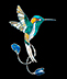 hummingbird-pin-marvelous spatuletail